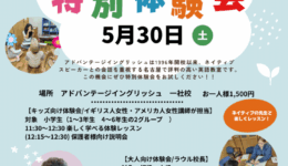 cd07c119ddf0efb6476a7022ef80703b.png