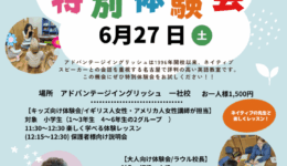 dc686581a4da43144ff19a754365a3cc.png